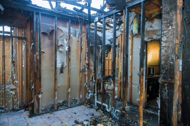 Professional Odor Removal technician working in Magnolia, OH